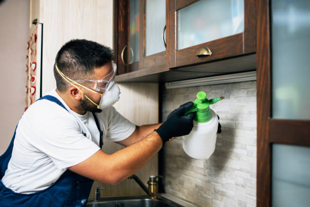 Best Best Pest Control Companies  in Glencoe, IL