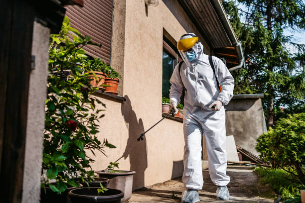 Best Pest Control for Homes  in Glencoe, IL
