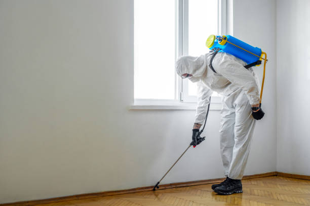 Best Insect Control  in Glencoe, IL