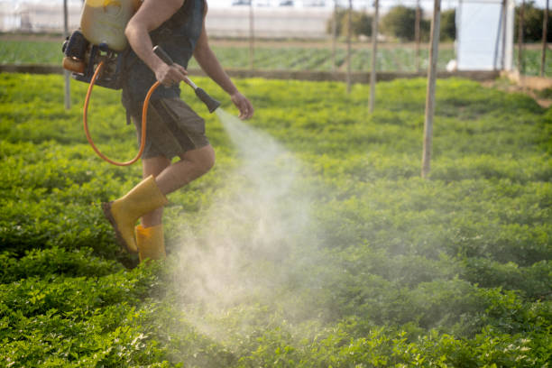Best Affordable Pest Control Services  in Glencoe, IL