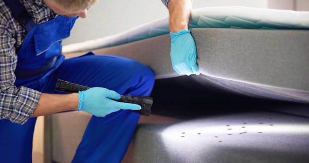 Best Pest Removal Services  in Glencoe, IL