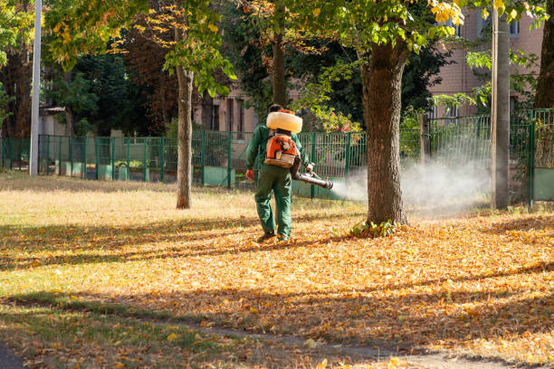 Best Mosquito Control Services  in Glencoe, IL